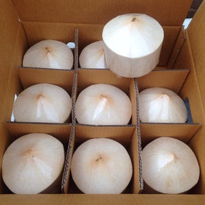 Young Coconut (Box Of 9)