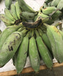 Organic Natural Burro or Thai Bananas (5 Pounds)